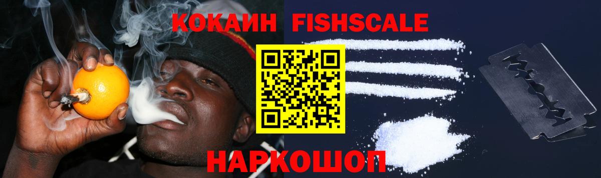 COCAIN Боливия Котлас